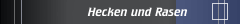 Hecken und Rasen 